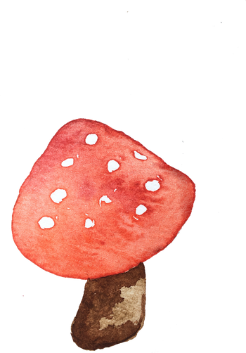 Wild Mushroom Illustration  